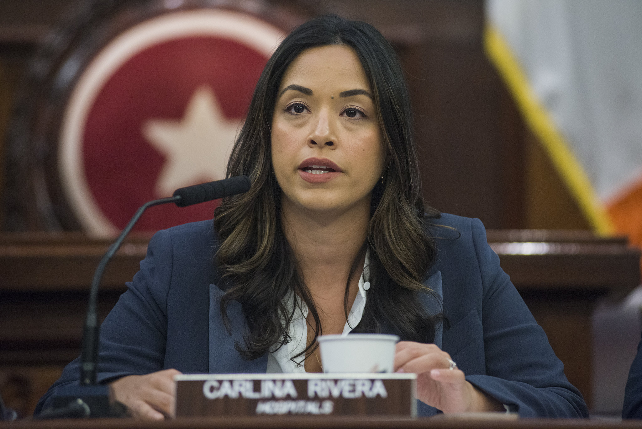 New York City Councilmember Carlina Rivera at Feb. 28 Immigration and Hospitals hearing.